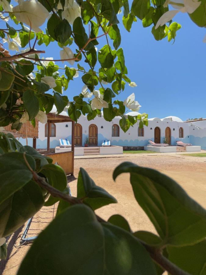 Dolphin Camp Hotel Dahab Exterior foto