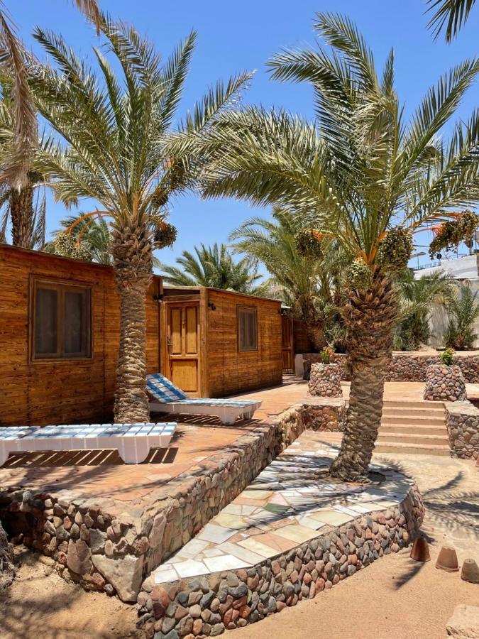 Dolphin Camp Hotel Dahab Exterior foto