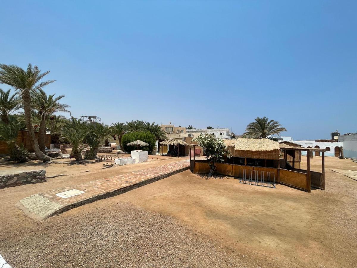 Dolphin Camp Hotel Dahab Exterior foto