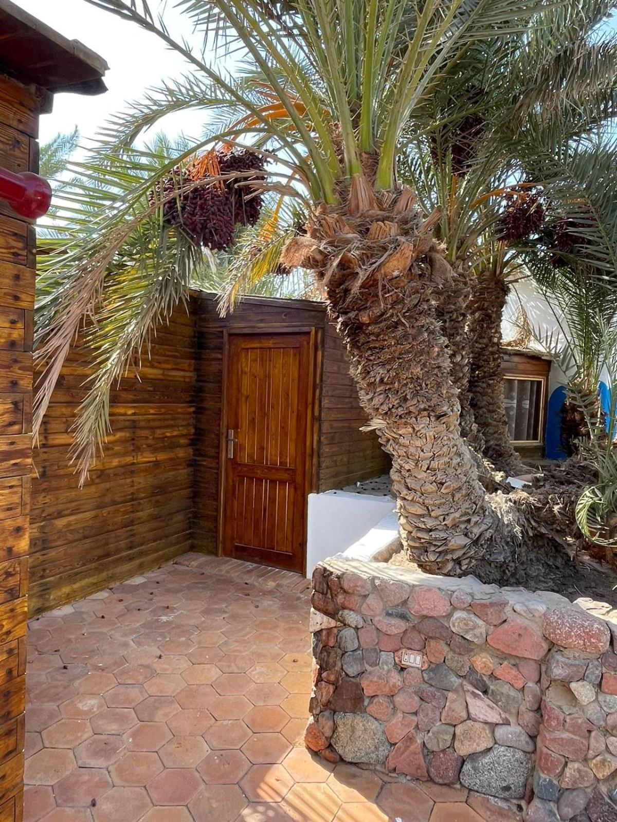 Dolphin Camp Hotel Dahab Exterior foto