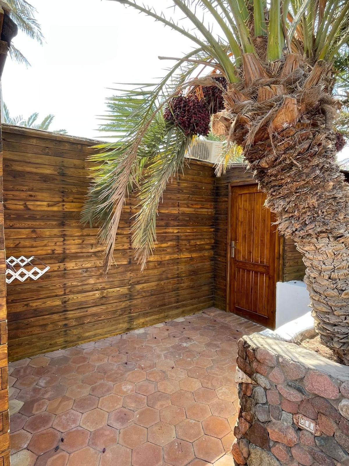 Dolphin Camp Hotel Dahab Exterior foto